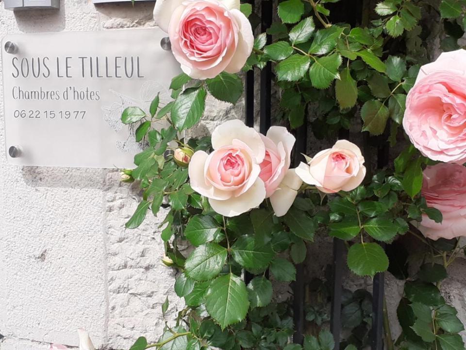 Sous Le Tilleul A Ruoms Zewnętrze zdjęcie