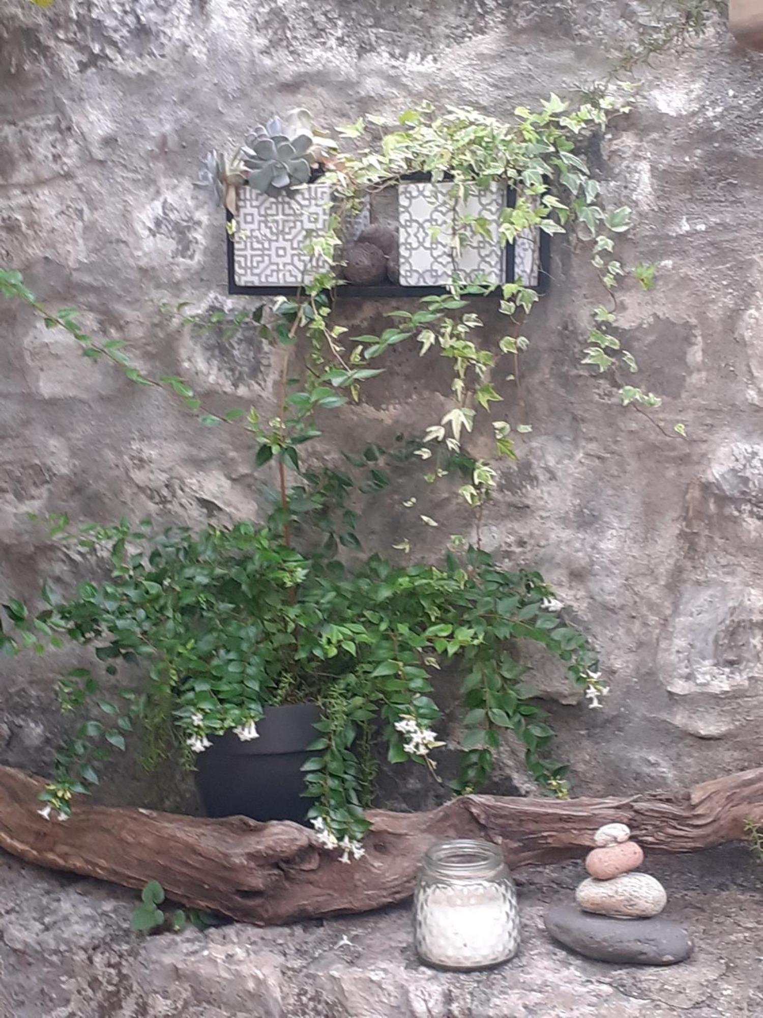Sous Le Tilleul A Ruoms Zewnętrze zdjęcie